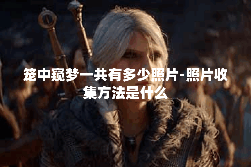 笼中窥梦一共有多少照片-照片收集方法是什么