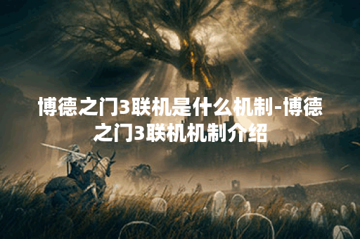 博德之门3联机是什么机制-博德之门3联机机制介绍