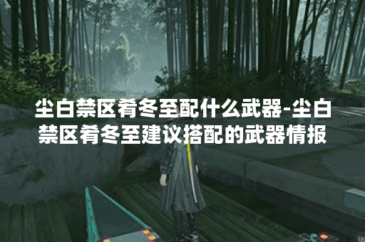 尘白禁区肴冬至配什么武器-尘白禁区肴冬至建议搭配的武器情报