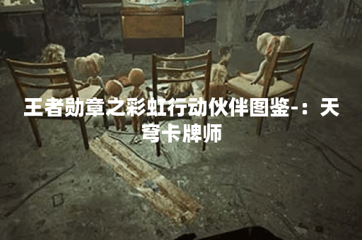 王者勋章之彩虹行动伙伴图鉴-：天穹卡牌师