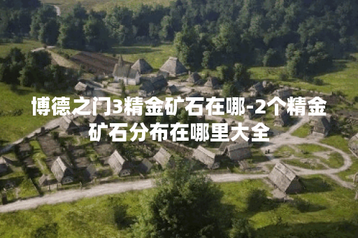 博德之门3精金矿石在哪-2个精金矿石分布在哪里大全