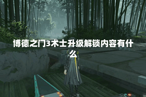 博德之门3术士升级解锁内容有什么