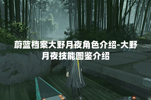 蔚蓝档案大野月夜角色介绍-大野月夜技能图鉴介绍