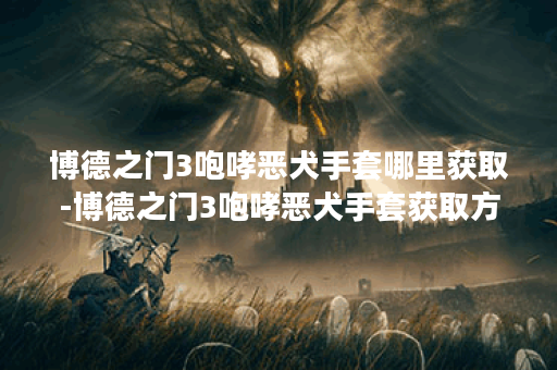 博德之门3咆哮恶犬手套哪里获取-博德之门3咆哮恶犬手套获取方法