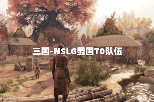 三国-NSLG蜀国T0队伍