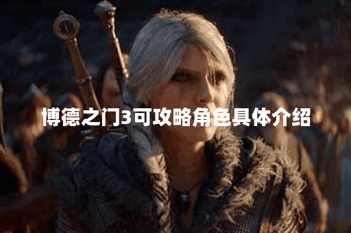 博德之门3可攻略角色具体介绍