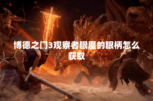 博德之门3观察者眼魔的眼柄怎么获取