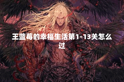 王蓝莓的幸福生活第1-13关怎么过