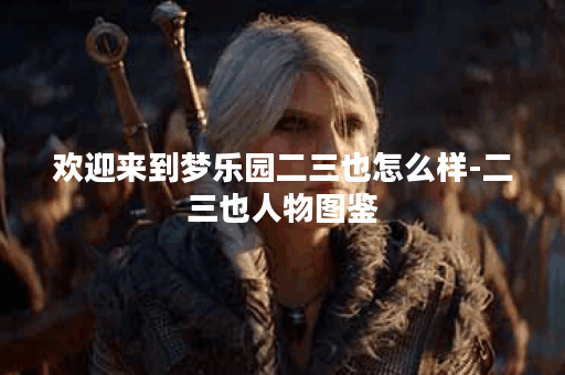 欢迎来到梦乐园二三也怎么样-二三也人物图鉴