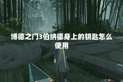 博德之门3伯纳德身上的钥匙怎么使用