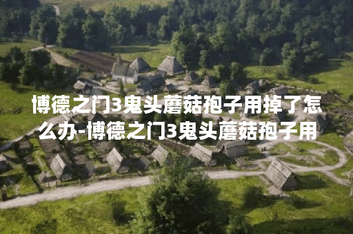 博德之门3鬼头蘑菇孢子用掉了怎么办-博德之门3鬼头蘑菇孢子用掉了解决办法