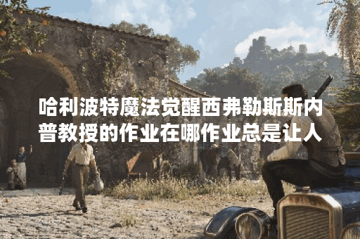 哈利波特魔法觉醒西弗勒斯斯内普教授的作业在哪作业总是让人头疼无比拼图在哪里