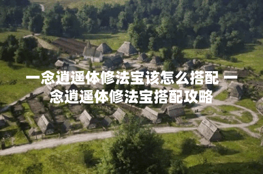 一念逍遥体修法宝该怎么搭配 一念逍遥体修法宝搭配攻略