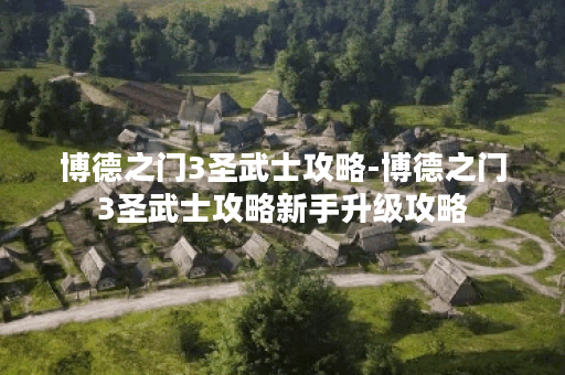 博德之门3圣武士攻略-博德之门3圣武士攻略新手升级攻略