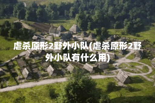 虐杀原形2野外小队(虐杀原形2野外小队有什么用)