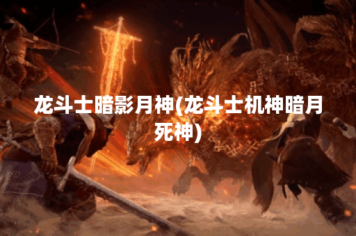龙斗士暗影月神(龙斗士机神暗月死神)