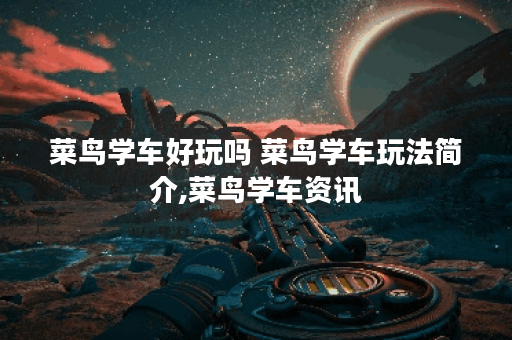 菜鸟学车好玩吗 菜鸟学车玩法简介,菜鸟学车资讯
