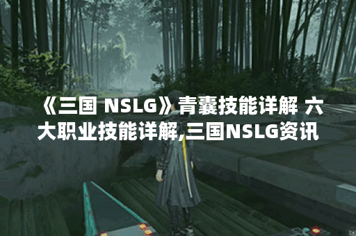 《三国 NSLG》青囊技能详解 六大职业技能详解,三国NSLG资讯