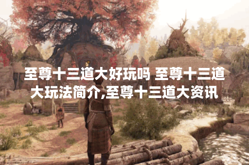 至尊十三道大好玩吗 至尊十三道大玩法简介,至尊十三道大资讯