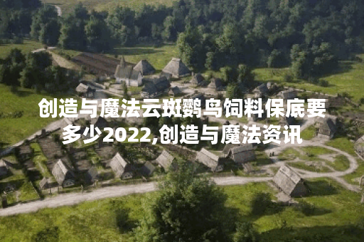 创造与魔法云斑鹦鸟饲料保底要多少2022,创造与魔法资讯