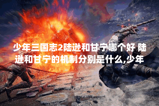 少年三国志2陆逊和甘宁哪个好 陆逊和甘宁的机制分别是什么,少年三国志2资讯