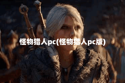 怪物猎人pc(怪物猎人pc版)