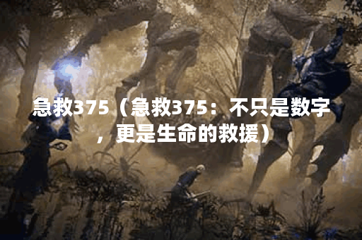 急救375（急救375：不只是数字，更是生命的救援）