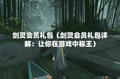 剑灵会员礼包（剑灵会员礼包详解：让你在游戏中称王）
