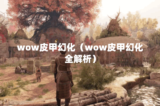 wow皮甲幻化（wow皮甲幻化全解析）