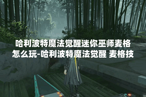 哈利波特魔法觉醒迷你巫师麦格怎么玩-哈利波特魔法觉醒 麦格技能详情