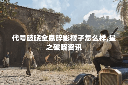 代号破晓全息碎影猴子怎么样,星之破晓资讯