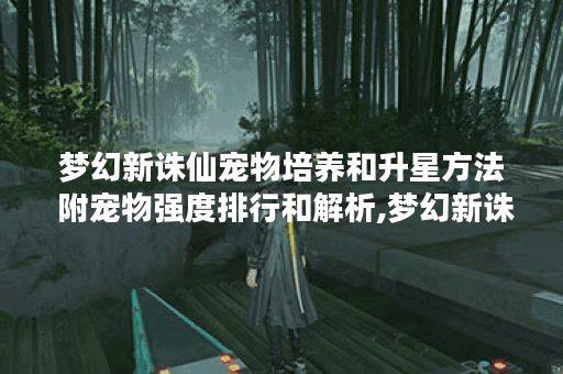 梦幻新诛仙宠物培养和升星方法 附宠物强度排行和解析,梦幻新诛仙资讯