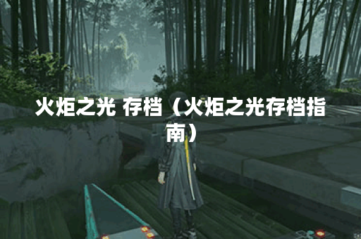 火炬之光 存档（火炬之光存档指南）