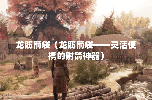 龙筋箭袋（龙筋箭袋——灵活便携的射箭神器）
