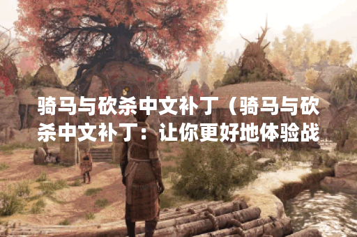 骑马与砍杀中文补丁（骑马与砍杀中文补丁：让你更好地体验战争的浴