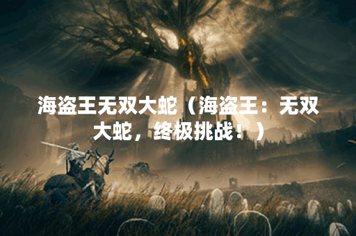 海盗王无双大蛇（海盗王：无双大蛇，终极挑战！）