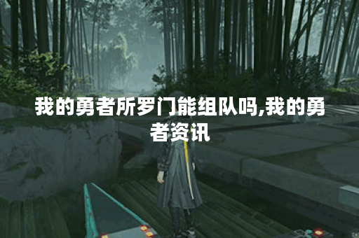 我的勇者所罗门能组队吗,我的勇者资讯