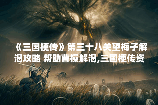 《三国梗传》第三十八关望梅子解渴攻略 帮助曹操解渴,三国梗传资讯