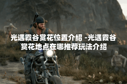 光遇霞谷赏花位置介绍 -光遇霞谷赏花地点在哪推荐玩法介绍