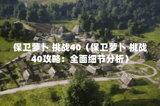 保卫萝卜 挑战40（保卫萝卜 挑战40攻略：全面细节分析）