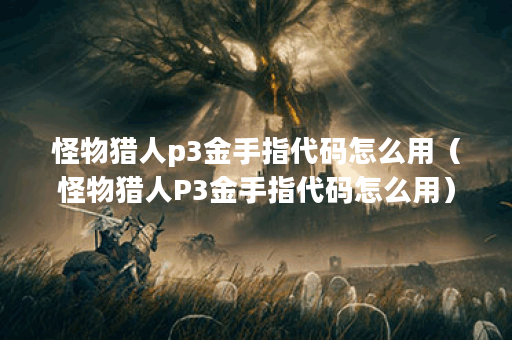 怪物猎人p3金手指代码怎么用（怪物猎人P3金手指代码怎么用）