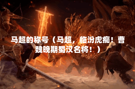马超的称号（马超，临汾虎痴！曹魏晚期蜀汉名将！）