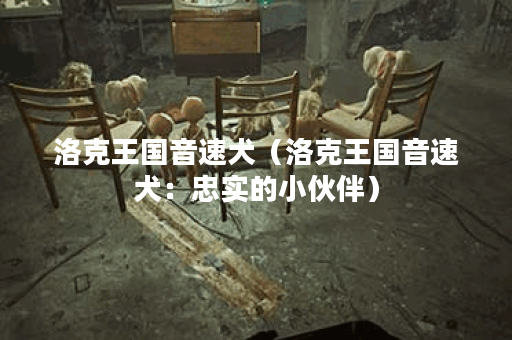 洛克王国音速犬（洛克王国音速犬：忠实的小伙伴）