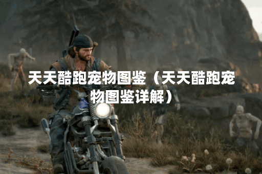 天天酷跑宠物图鉴（天天酷跑宠物图鉴详解）