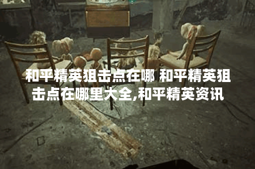 和平精英狙击点在哪 和平精英狙击点在哪里大全,和平精英资讯