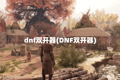 dnf双开器(DNF双开器)