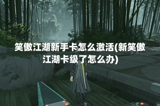 笑傲江湖新手卡怎么激活(新笑傲江湖卡级了怎么办)