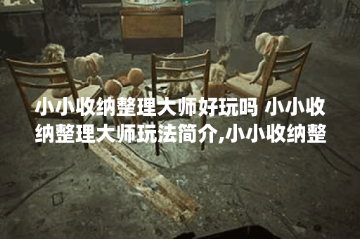 小小收纳整理大师好玩吗 小小收纳整理大师玩法简介,小小收纳整理大师资讯