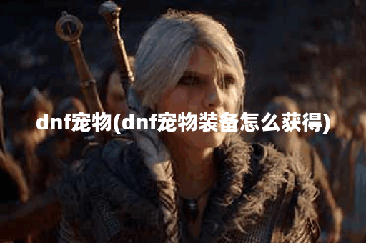 dnf宠物(dnf宠物装备怎么获得)