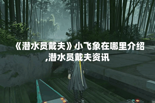 《潜水员戴夫》小飞象在哪里介绍,潜水员戴夫资讯